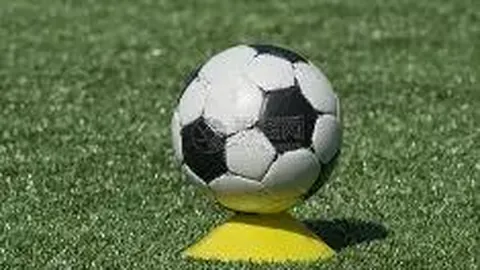 星空娱乐 产品 053452 ggn