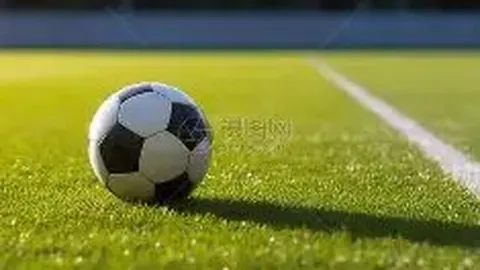 杨幂谈加盟《姐姐3》：我具备歌舞才华吗？